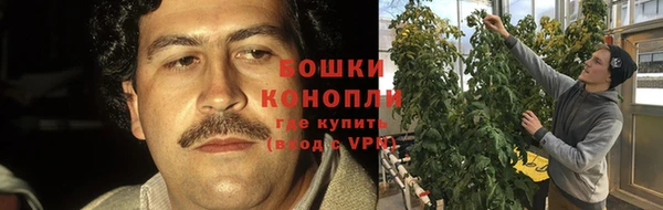 MESCALINE Нефтегорск